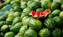 网红吃瓜爆料黑科,黑科背后的惊人真相，吃瓜群众纷纷热议